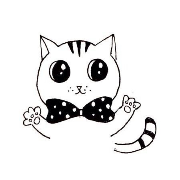 喵咪動(dòng)漫，初學(xué)者與進(jìn)階用戶的技能學(xué)習(xí)指南