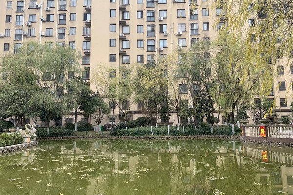 中豪明珠城最新價(jià)格，時(shí)代印記與城市的脈動(dòng)