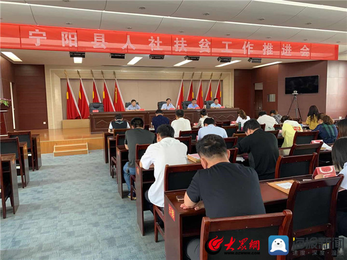 寧陽(yáng)網(wǎng)最新資訊，城市中的溫情日常