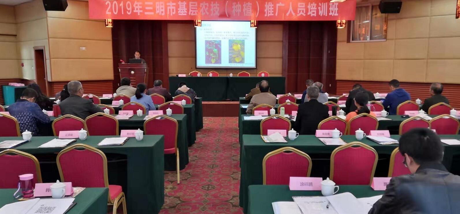 豇豆最新，廚房中的友情與家的溫馨