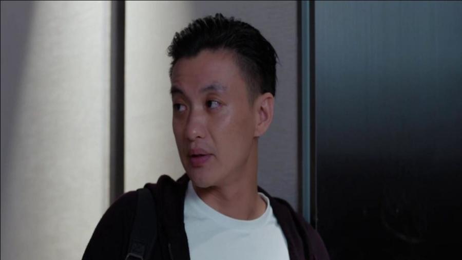 郭鑫年最新動(dòng)態(tài)揭秘，小巷特色小店探索之旅