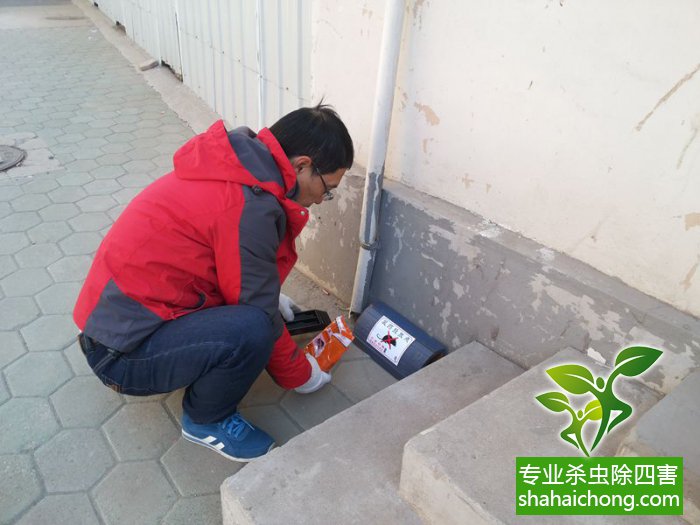 最新滅鼠技術(shù)的觀點論述與立場闡述，創(chuàng)新方法的探索與挑戰(zhàn)