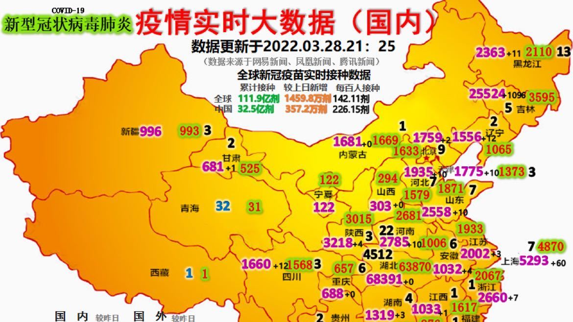 最新疫情動態(tài)詳解，初學(xué)者與進(jìn)階用戶的步驟指南