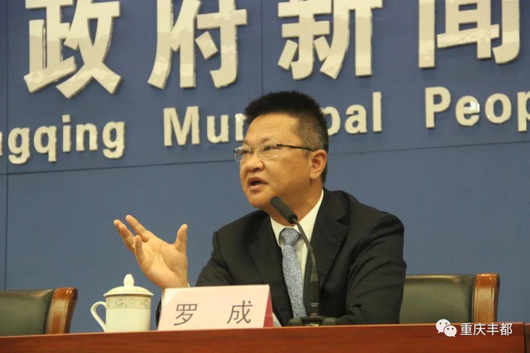 豐都新聞快訊，日常溫情與陪伴的瞬間