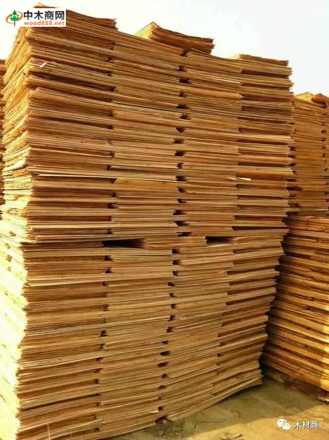 科技革新引領板皮廠行情，開啟板材加工新時代