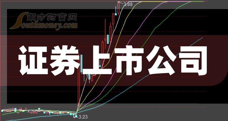 科技巨頭引領(lǐng)下的全新視界，股票上市公司概覽