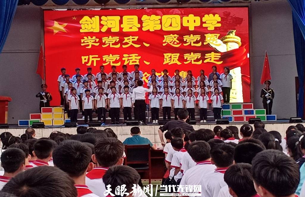 青蛙與狗的泳池挑戰(zhàn)，揭秘游泳比賽背后的故事，青蛙夢工廠的秘密探索