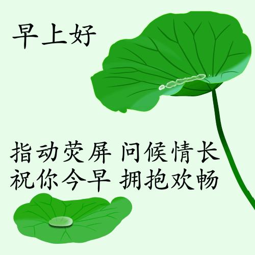 最新疫情動態(tài)下的自然探索之旅，追尋內(nèi)心的平和與寧靜