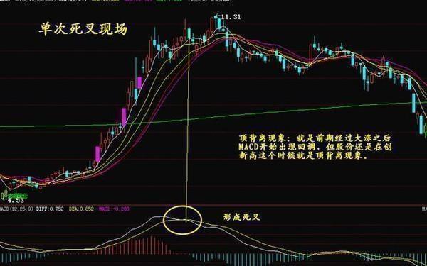 科技前沿與股票新紀(jì)元，最新高科技產(chǎn)品體驗(yàn)介紹與股票解析