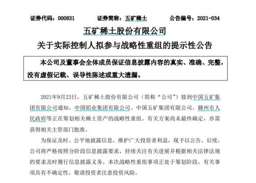 南方稀土股票，小巷中的隱秘寶藏，探索投資魅力的未知之旅