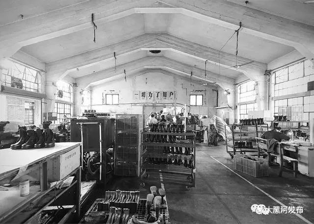 垓工廠日常趣事與深厚友情紐帶——最新報道與分享