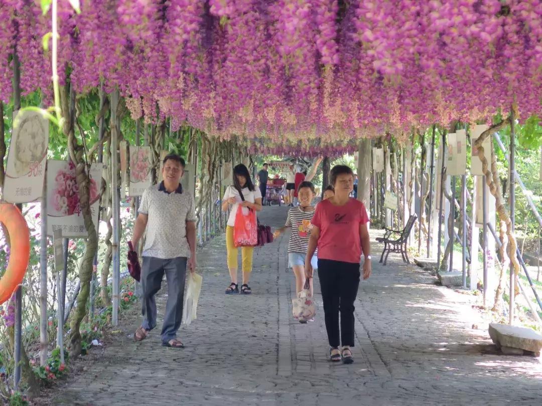 收入寶全新版本，家庭與友情的交織故事