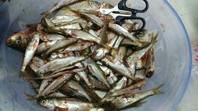 昆明最新野釣地點(diǎn)探索，重拾生活激情與自信的自然之旅