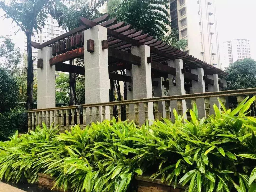 陽光江山金岸最新動態(tài)揭秘，全面指南與步驟詳解