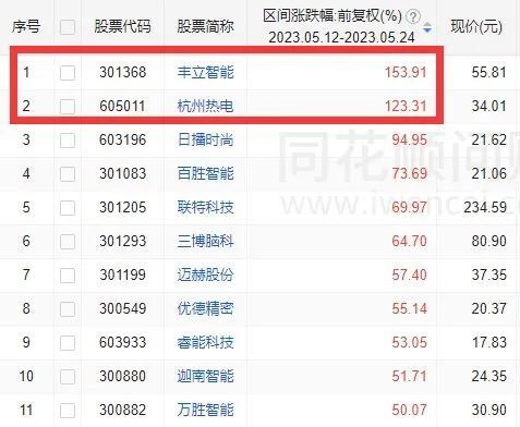 揭秘股票開頭代碼背后的秘密，小巷神秘股票小店的傳奇故事