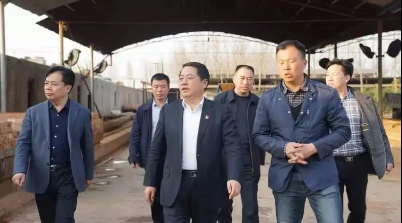 商丘王仲田最新動態(tài)，探索自然美景的旅行，尋求內(nèi)心平和之旅