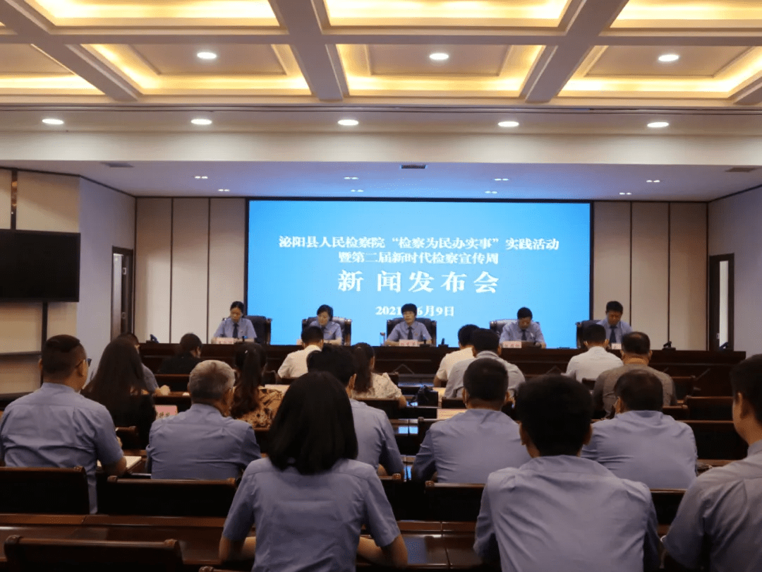 泌陽新聞最新動態(tài)，多元視角下的觀察與思考