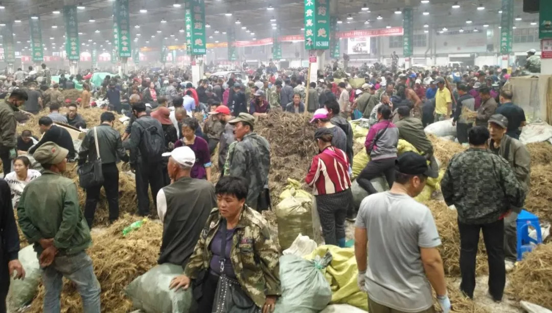 萬(wàn)良人參市場(chǎng)最新動(dòng)態(tài)揭秘，日常奇遇與溫情紐帶