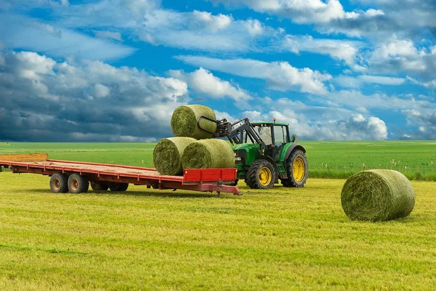 農(nóng)業(yè)最新動(dòng)態(tài)，時(shí)代的脈搏與綠色希望共舞