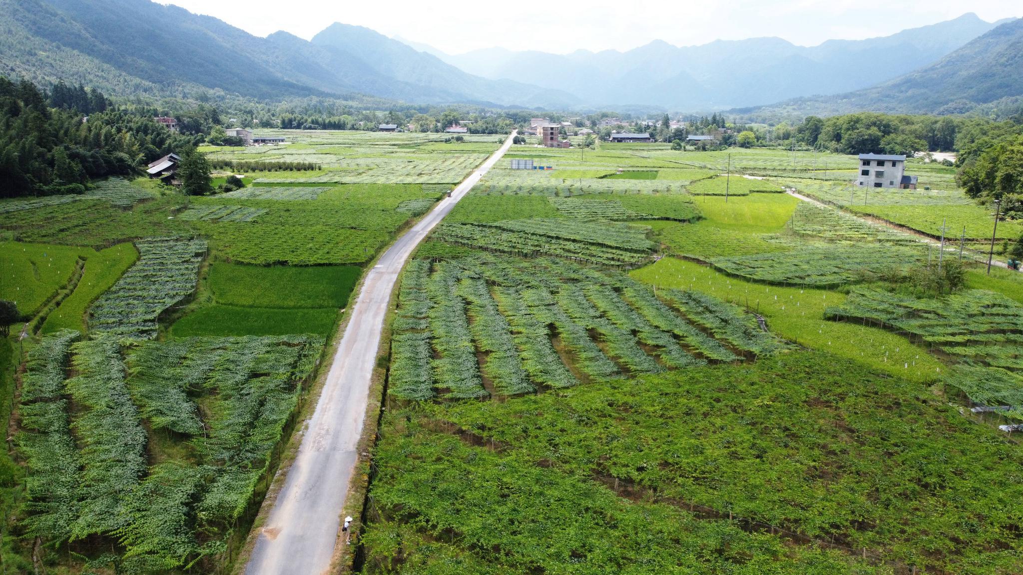 新文村，時代變遷下的文化繁榮與發(fā)展新篇章