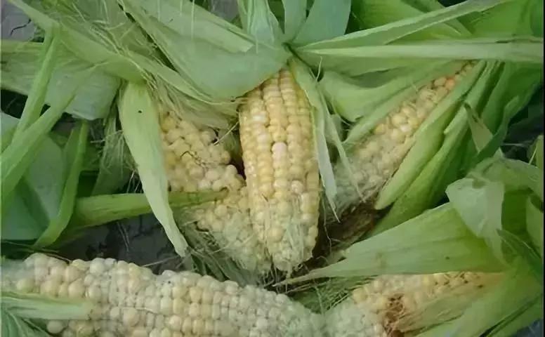 工程廠房燈具 第121頁(yè)