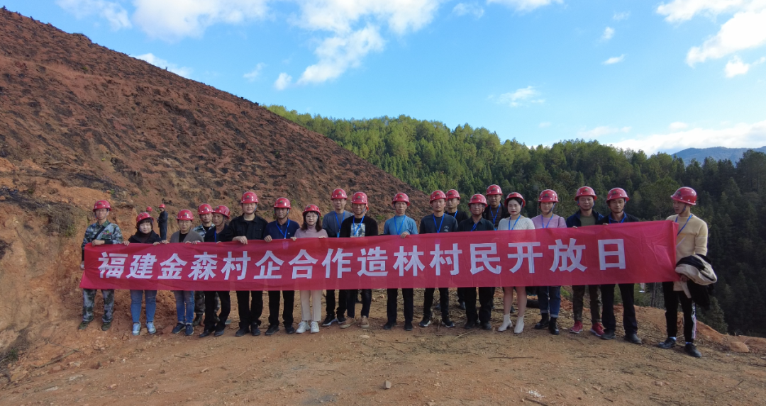 福建金森最新動態(tài)及相關(guān)觀點深度解析