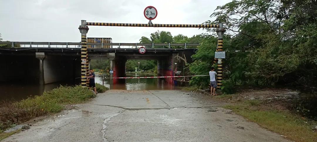 惠陽(yáng)臺(tái)風(fēng)最新消息，小巷深處的風(fēng)味秘境