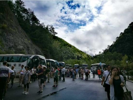 泰順高鐵最新動(dòng)態(tài)更新，最新消息一覽