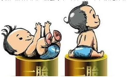最新雙胞胎補(bǔ)助政策，攜手同行，助力孕育夢想之路