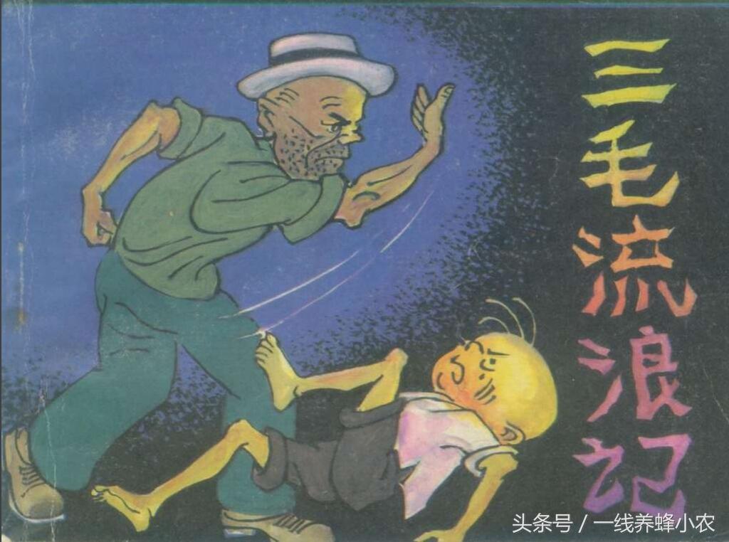上海三毛最新動態(tài)，自然美景探索之旅啟幕