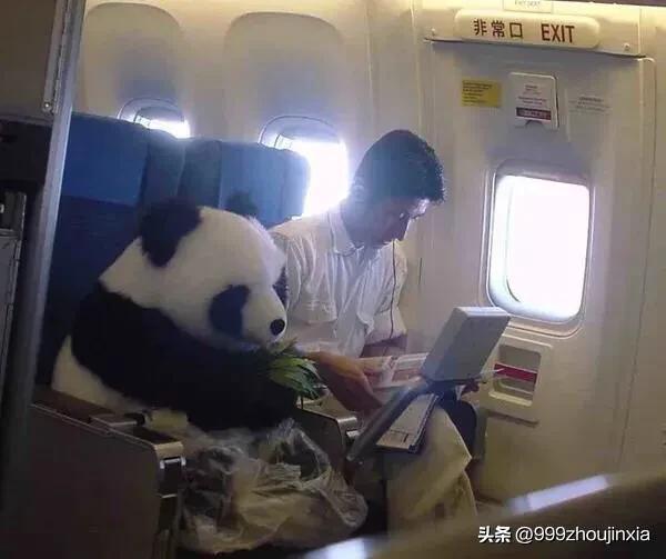追逐變化之翼，學(xué)習(xí)鑄就自信與成就——虛幻最新探討