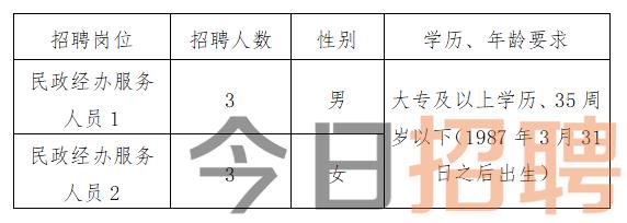 慶陽(yáng)最新招聘揭秘，小巷中的特色小店，探索未知寶藏的職場(chǎng)之旅