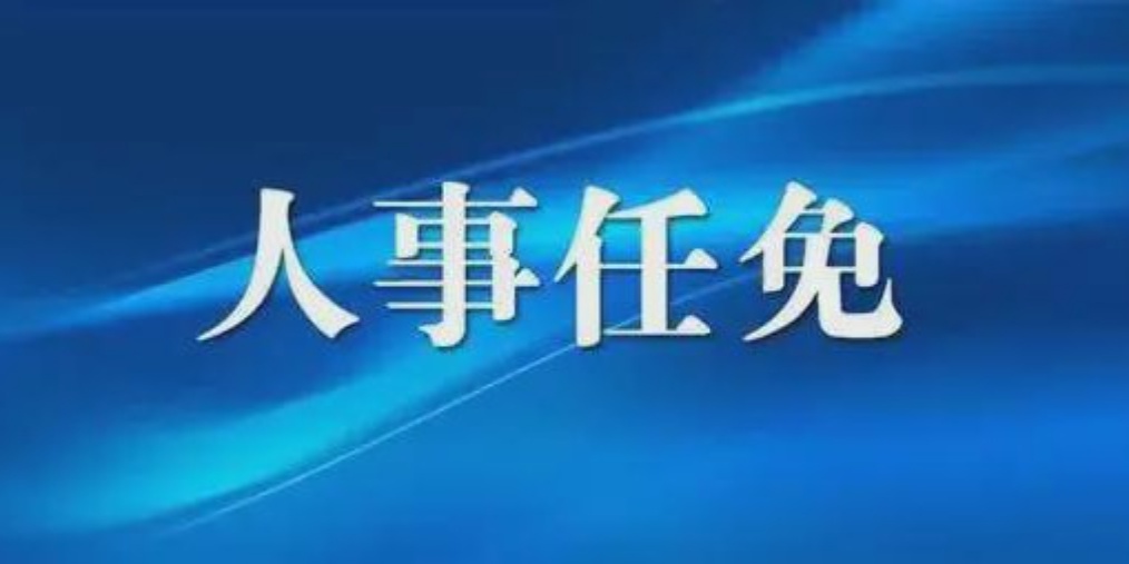 成都人事任免背后的故事，小巷獨(dú)特風(fēng)味小店與城市的脈動(dòng)