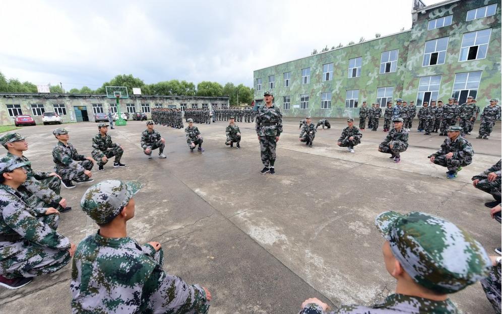 遼寧人才網(wǎng)最新招聘，時代脈搏與人才匯聚的交匯點