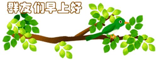 最新清晨祝福短信，晨曦中的溫暖問(wèn)候，傳遞美好祝愿與關(guān)懷
