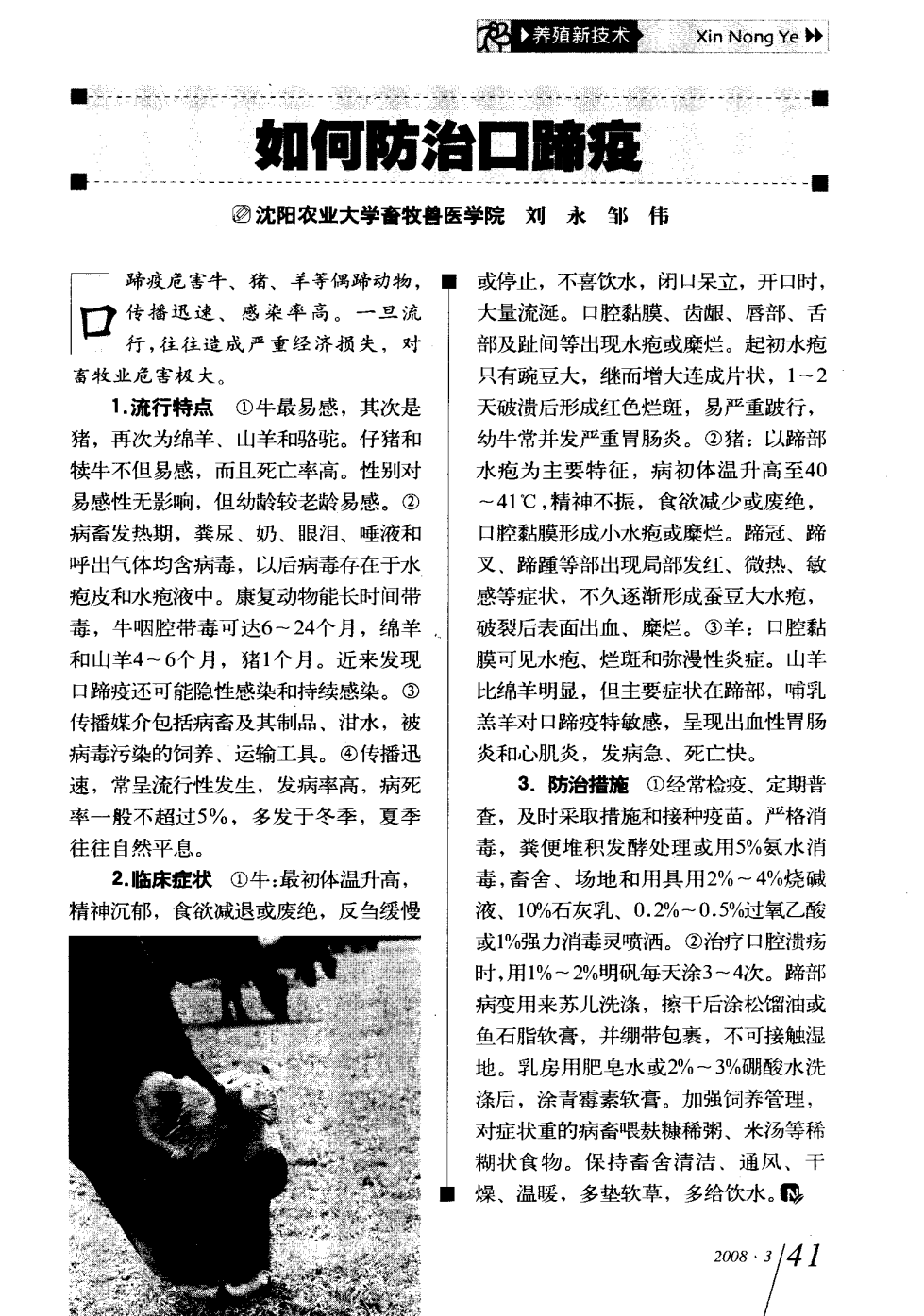 口蹄疫最新科研，自然探險(xiǎn)與內(nèi)心平和的追尋之旅