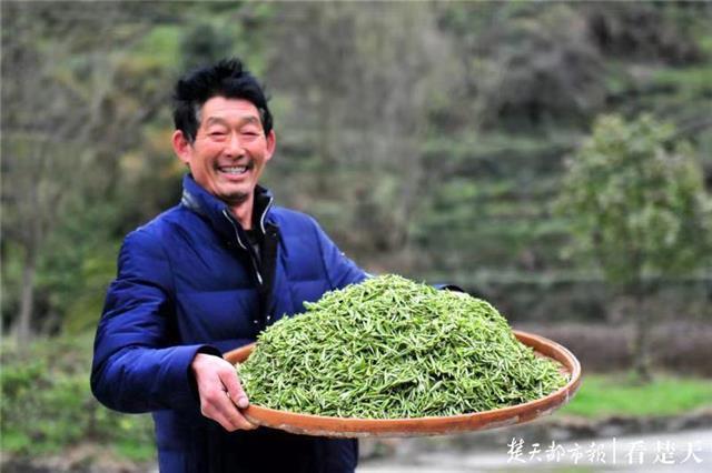最新夷陵新聞，探索自然美景的旅程，尋覓內心平和之地