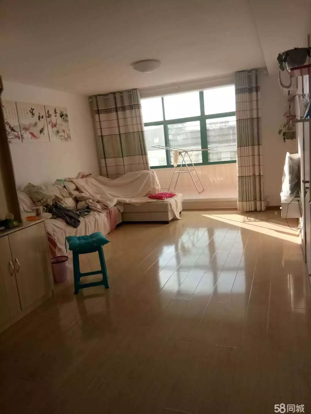 萊西最新個(gè)人租房，窗外世界與自我成長的旅程