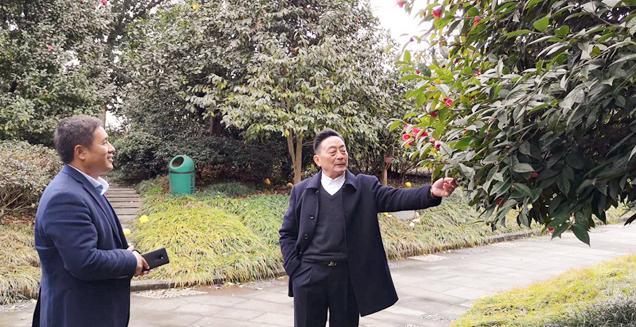 最新花木求購，開啟一場尋綠之旅的溫馨旅程