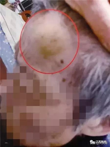 揪脖子最新視頻，探秘小巷風情小店，獨家揭秘！