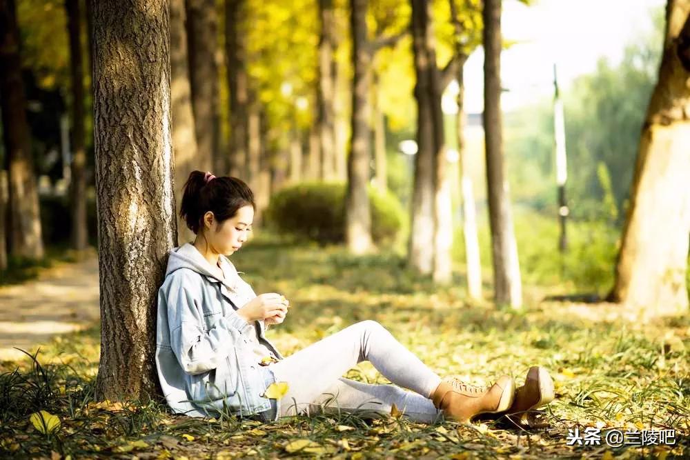 郯城與邳州沖突的深度解析與案例分析，最新進展與案例分析