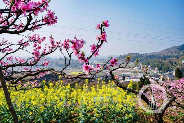 合川最新科技新聞，高科技產品引領未來生活潮流