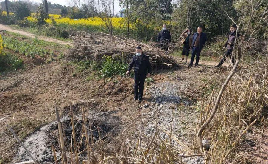 溧陽最新天氣，氣象變遷與地域影響探究