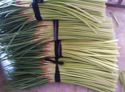 運(yùn)動(dòng)場(chǎng)館燈具 第76頁(yè)