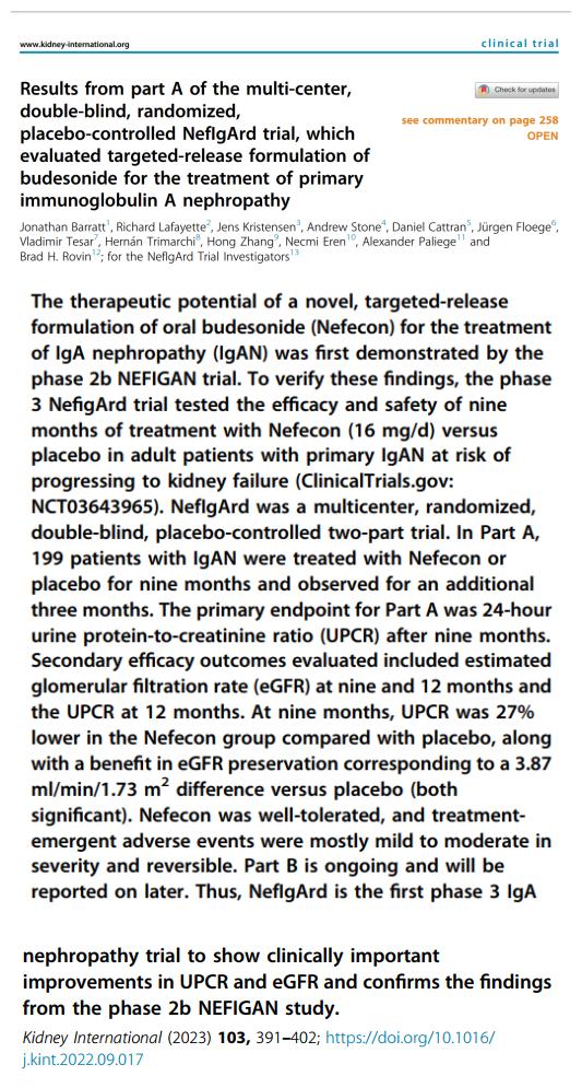 IGA腎病最新突破，醫(yī)學(xué)奇跡在小店中綻放的獨(dú)特魅力