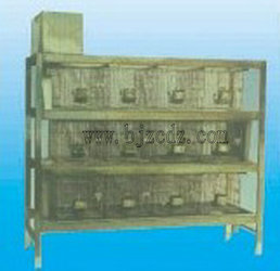 最新式兔籠，打造溫馨舒適的小天地，讓兔子樂享家園！