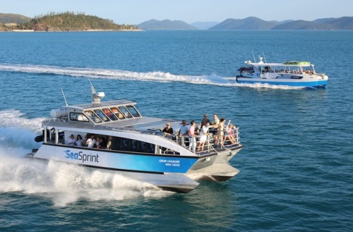 時(shí)代背景下的璀璨星辰，最新號(hào)號(hào)天堂綜述