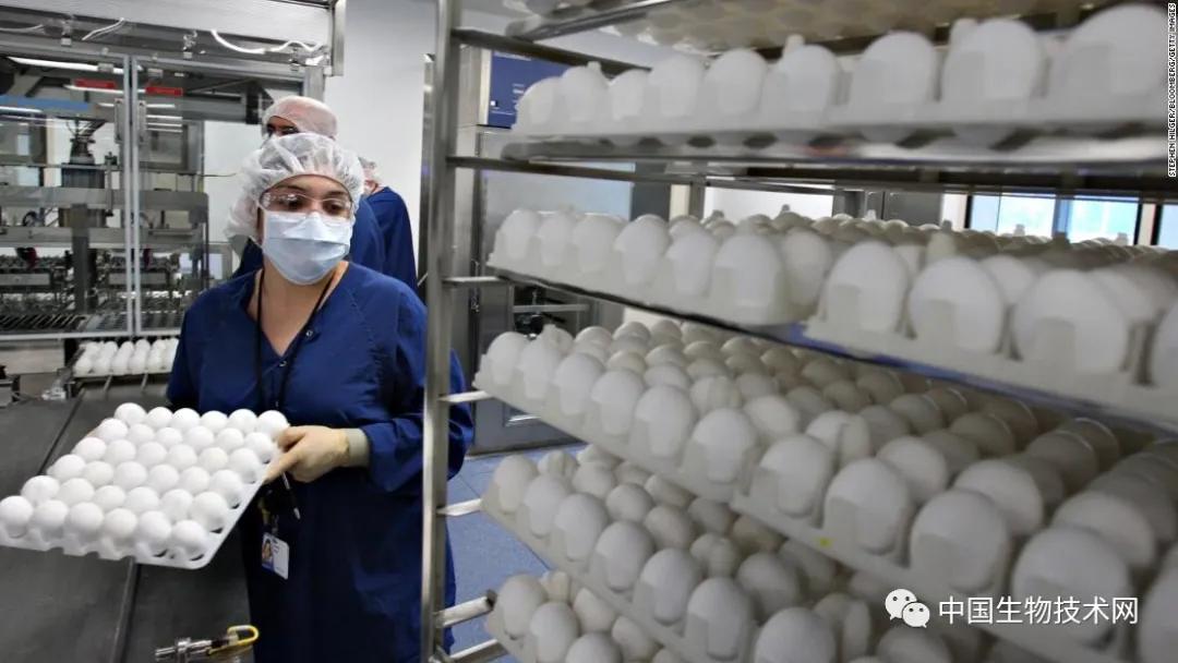 最新流感疫苗，科技助力健康新生活保護(hù)您免受流感侵襲