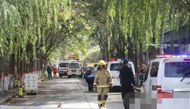 安陽(yáng)最新事件，溫馨日常與不期而遇的友情之旅