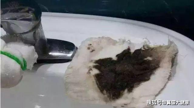 揭秘水污染真相，小杰的河流探索之旅——溫馨河流的秘密揭秘視頻